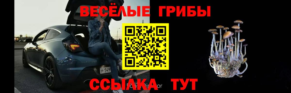 Пенза  Галлюциногенные грибы Psilocybe  Вход с VPN 